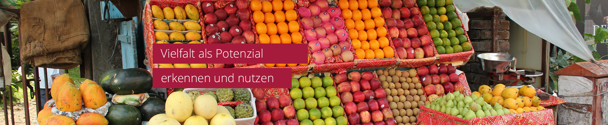6_headervielfalt.jpg